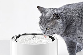 Dispensador de agua para gatos